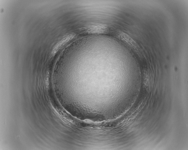 X0000060750586200511141201