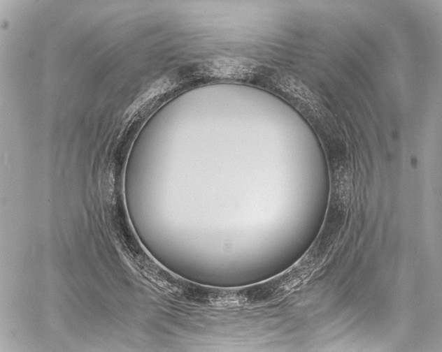 X0000060750587200511141201