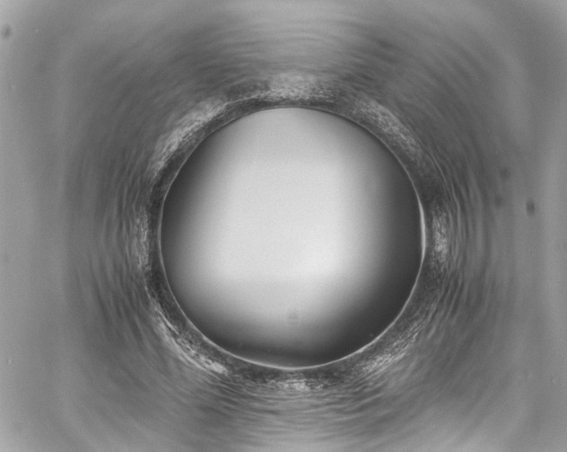 X0000060750588200511141201