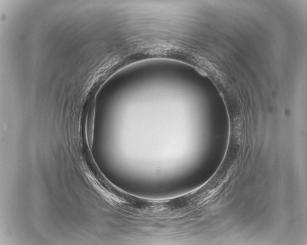 X0000060750589200511141201