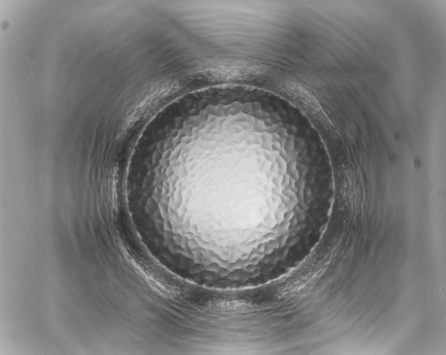 X0000060750590200511141201