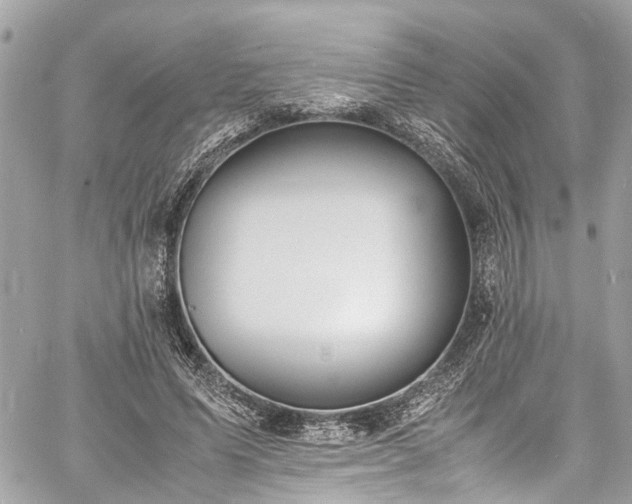 X0000060750591200511141201