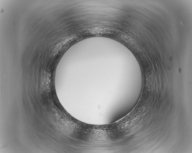 X0000060750592200511141201