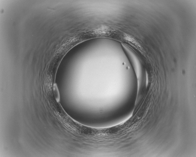 X0000060750593200511141201