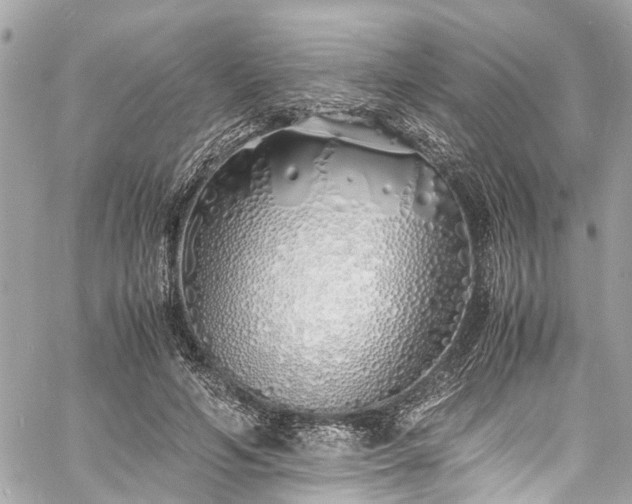 X0000060750594200511141201