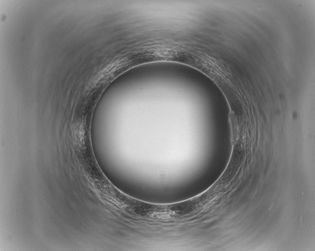 X0000060750595200511141201