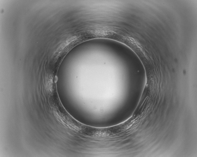 X0000060750596200511141201