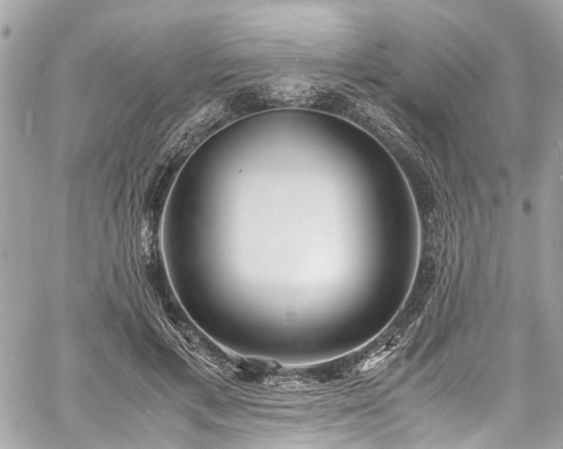 X0000060750597200511141201