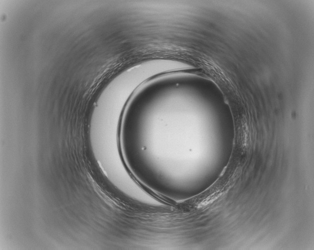 X0000060750598200511141201