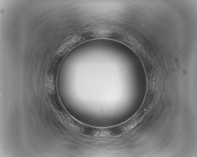 X0000060750599200511141201