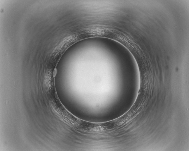 X0000060750600200511141201