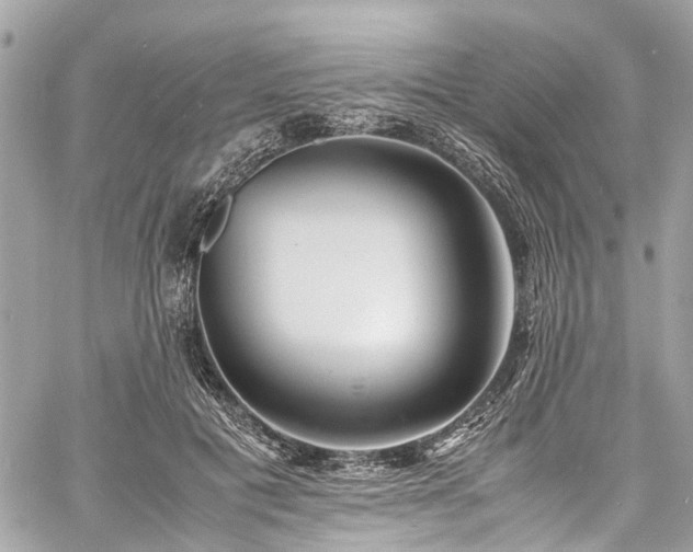 X0000060750601200511141201