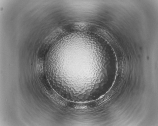 X0000060750602200511141201