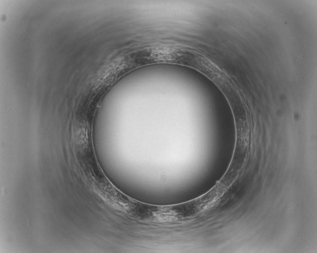 X0000060750603200511141201