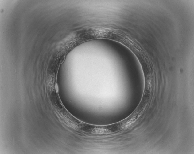 X0000060750605200511141201