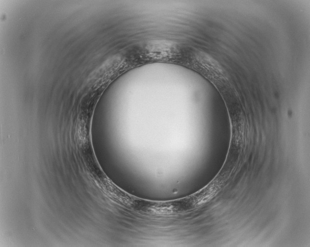 X0000060750606200511141201