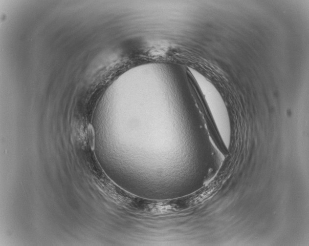 X0000060750607200511141201