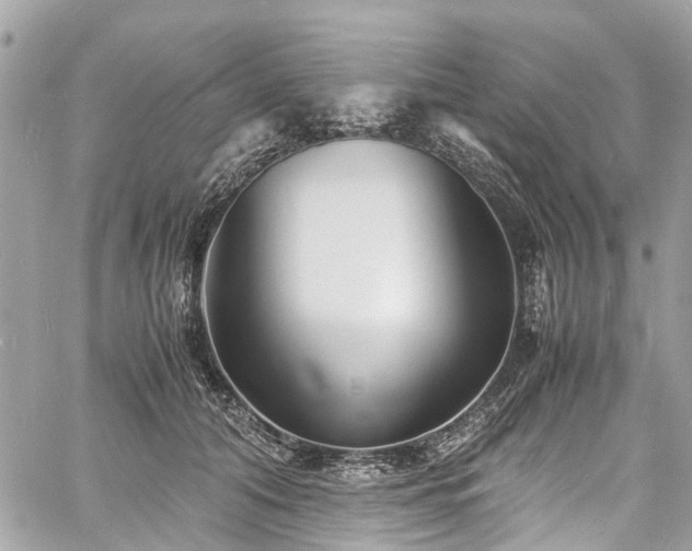 X0000060750608200511141201