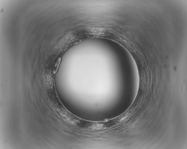 X0000060750609200511141200