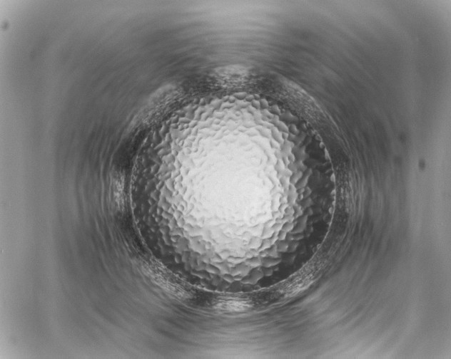 X0000060750610200511141200