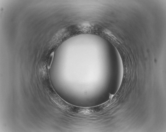 X0000060750611200511141200