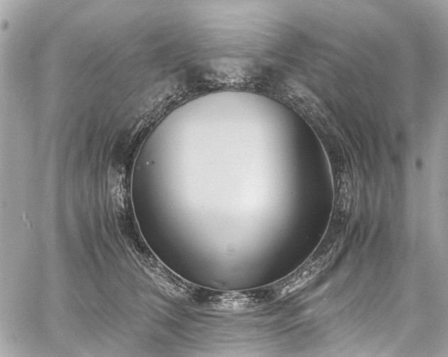 X0000060750612200511141200