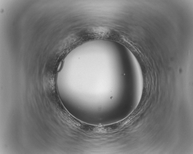 X0000060750613200511141200