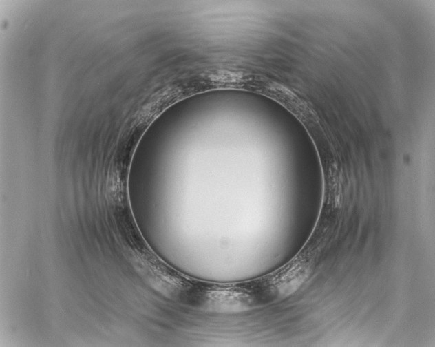 X0000060750614200511141200