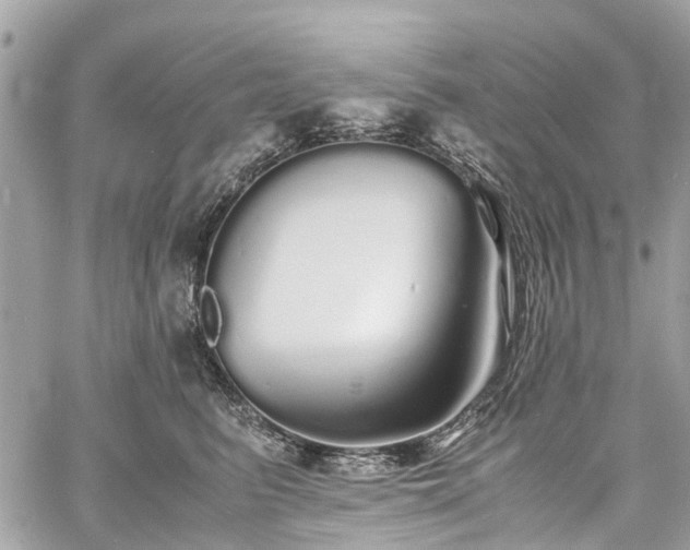 X0000060750615200511141200