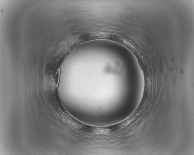 X0000060750617200511141200