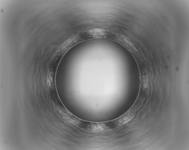 X0000060750618200511141200