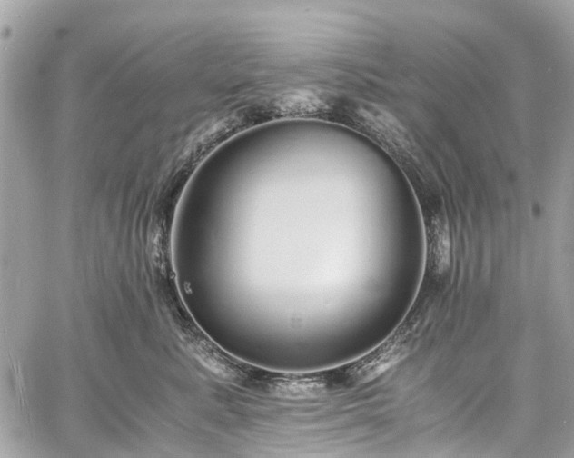 X0000060750619200511141200