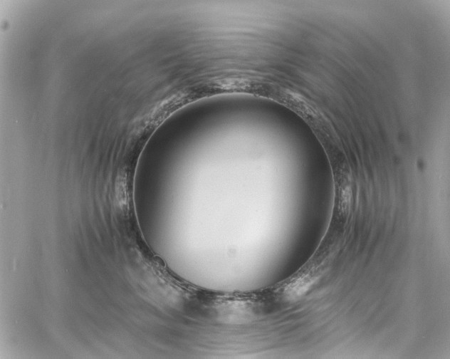 X0000060750620200511141200