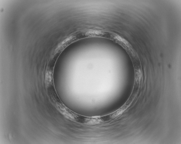 X0000060750621200511141200