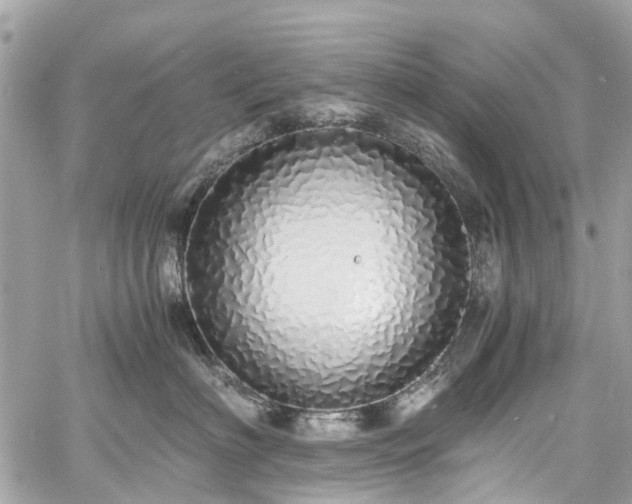 X0000060750622200511141200