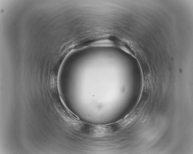 X0000060750623200511141200