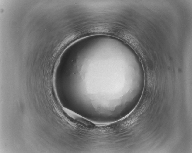 X0000060750625200511141159