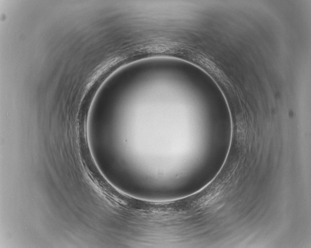 X0000060750626200511141159