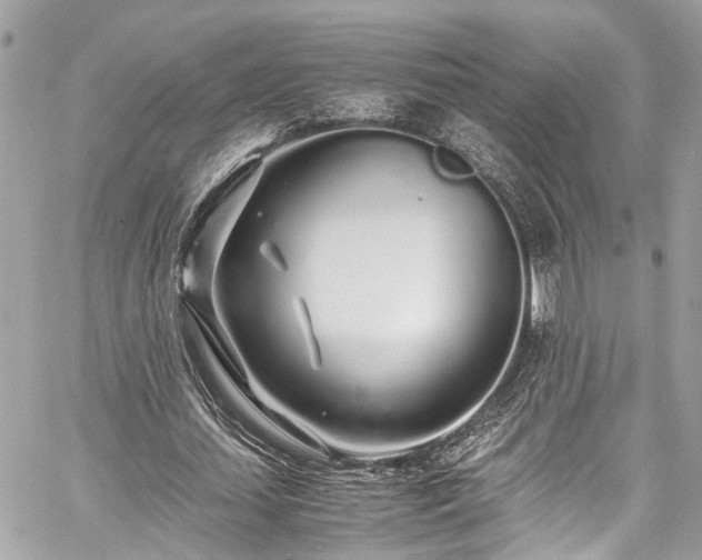 X0000060750627200511141159