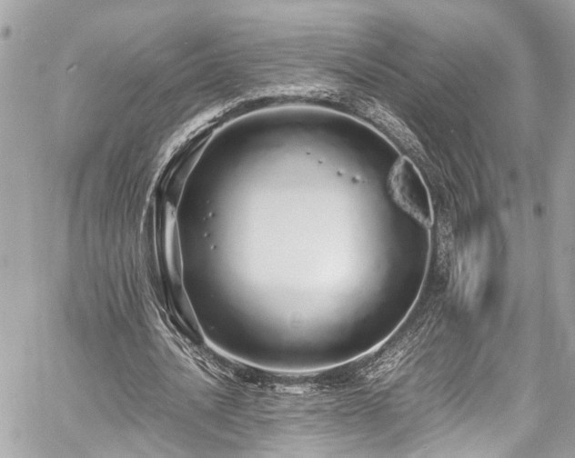 X0000060750628200511141159