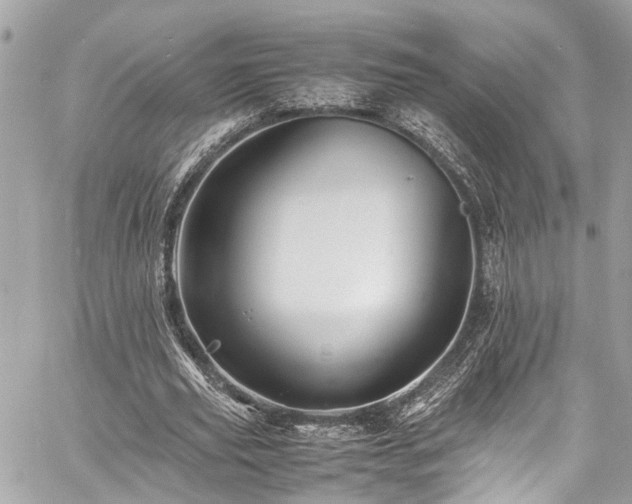 X0000060750629200511141200