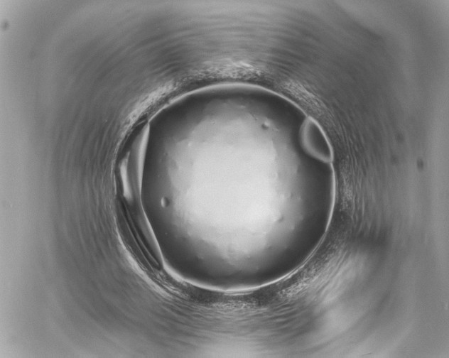 X0000060750630200511141200