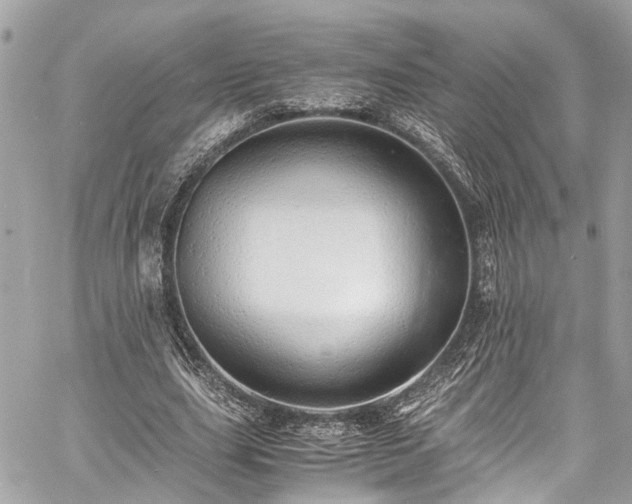 X0000060750631200511141200