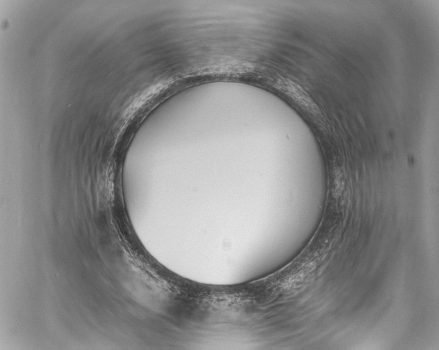 X0000060750632200511141200