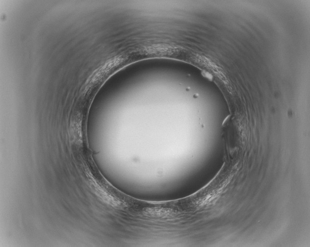 X0000060750633200511141200