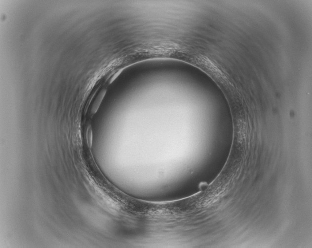 X0000060750634200511141200