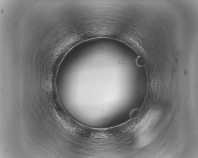 X0000060750635200511141200