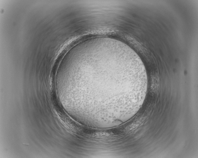 X0000060750636200511141200