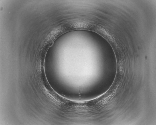 X0000060750637200511141200