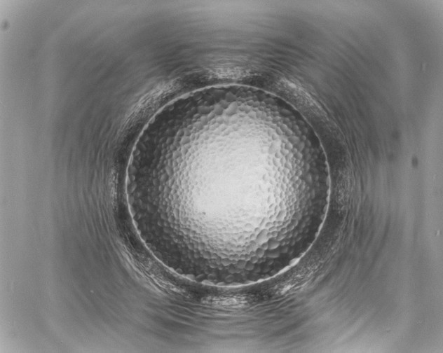 X0000060750639200511141200